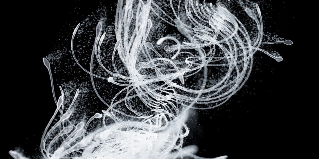 A Drift of Overtones