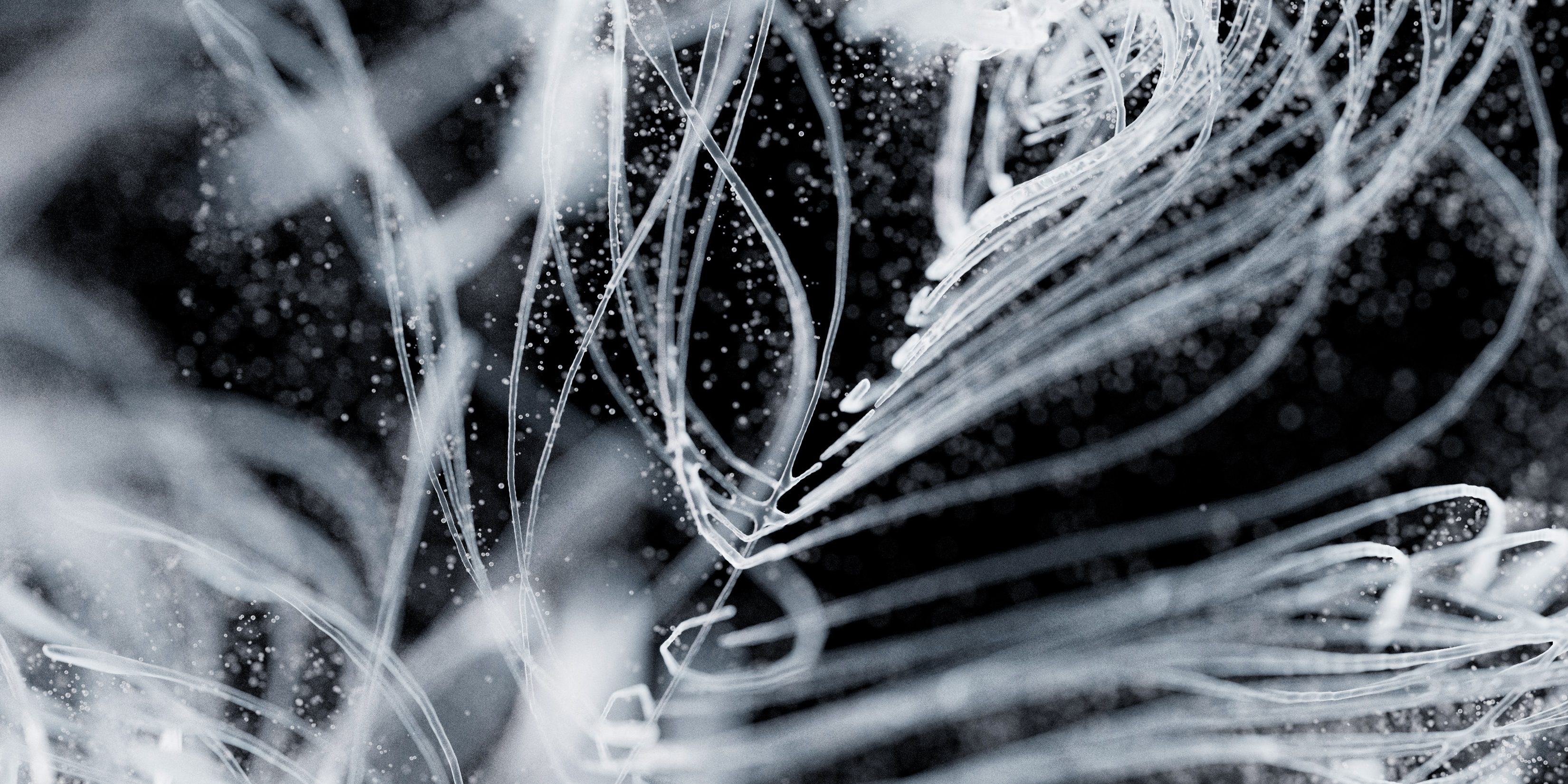 A Drift of Overtones